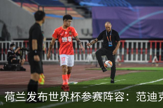 荷兰发布世界杯参赛阵容：范迪克与德容领衔